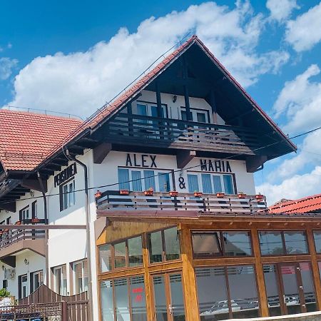 Alex & Maria Hotell Cărpinişu Eksteriør bilde