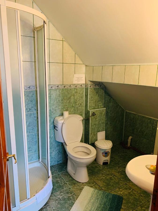 Alex & Maria Hotell Cărpinişu Eksteriør bilde