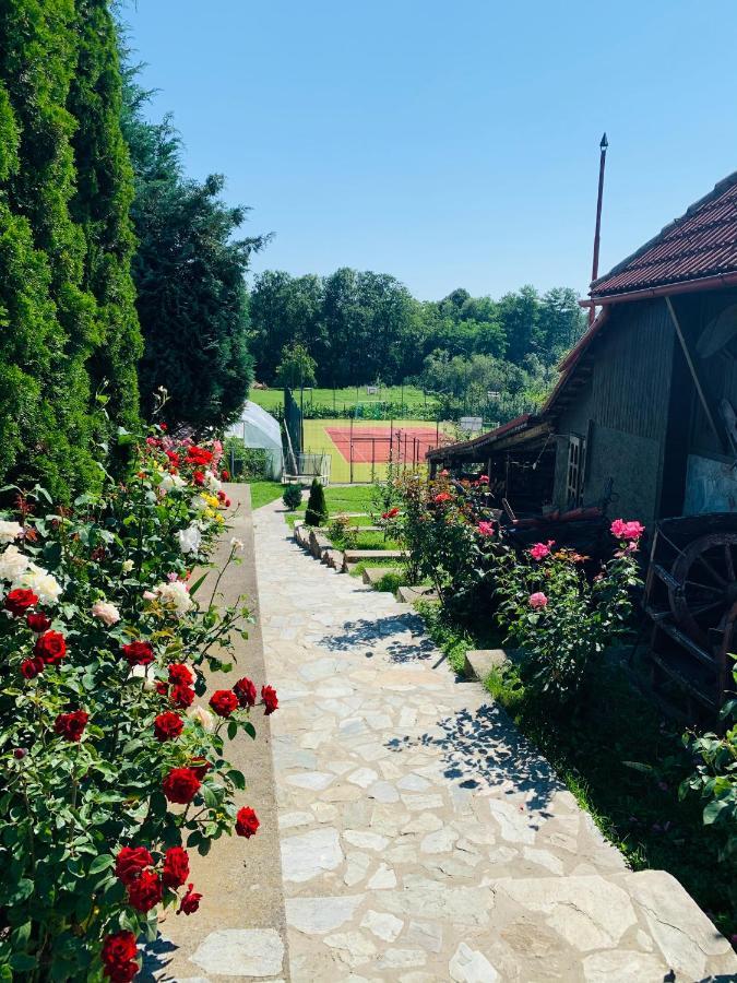 Alex & Maria Hotell Cărpinişu Eksteriør bilde