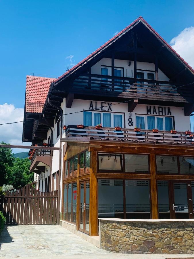 Alex & Maria Hotell Cărpinişu Eksteriør bilde